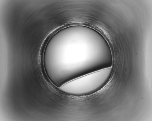 X0000093760779200710160835