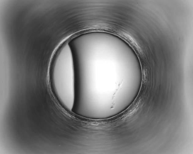 X0000093760780200710160835