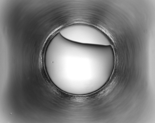 X0000093760782200710160835