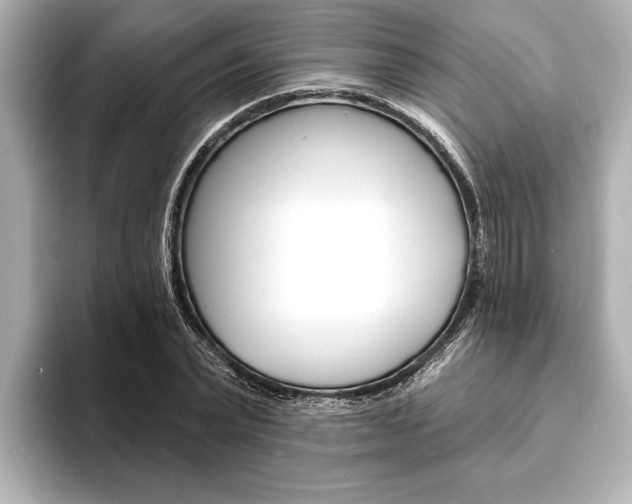X0000093760783200710160835
