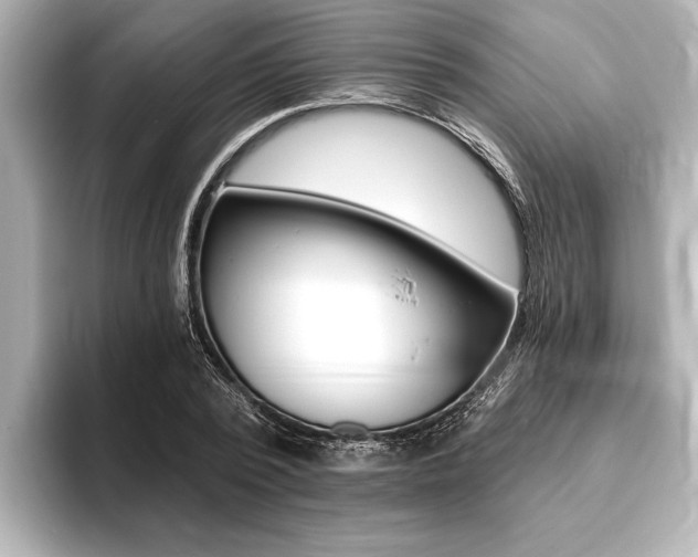 X0000093760784200710160835