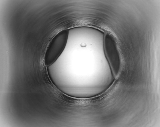 X0000093760785200710160835