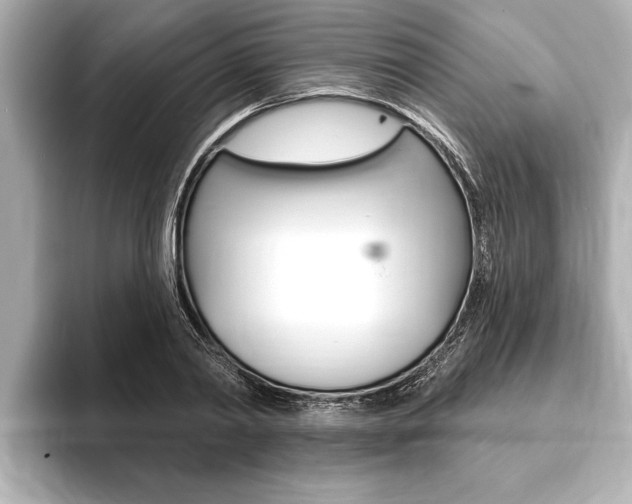 X0000093760790200710160835