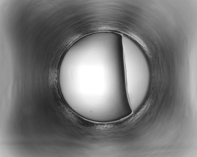 X0000093760793200710160835