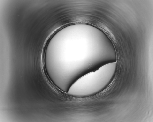 X0000093760796200710160835