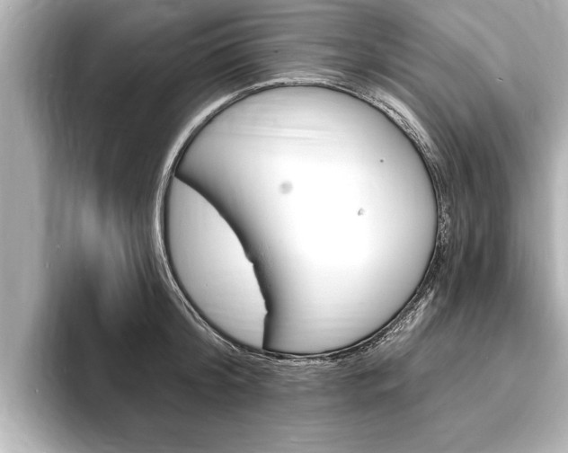 X0000093760804200710160835