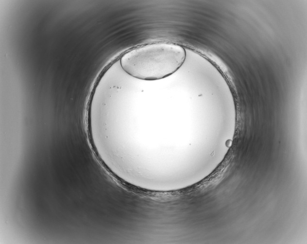 X0000093760807200710160835
