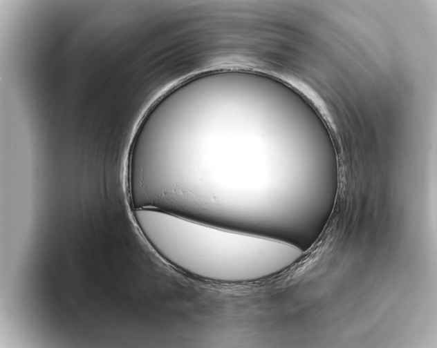 X0000093760815200710160834