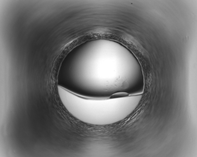 X0000093760822200710160834
