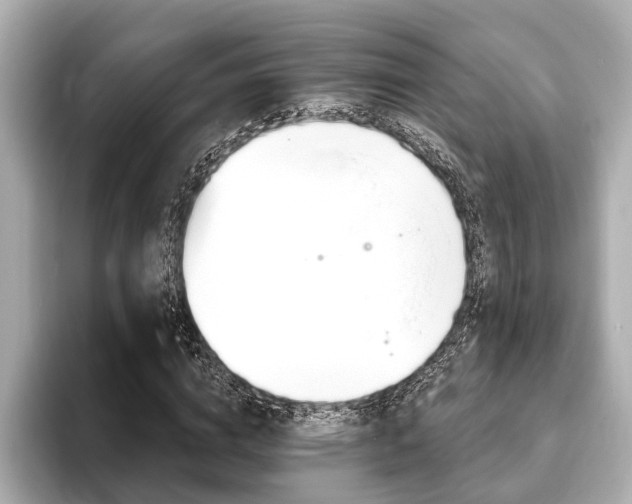 X0000093760824200710160834