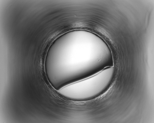 X0000093760825200710160834
