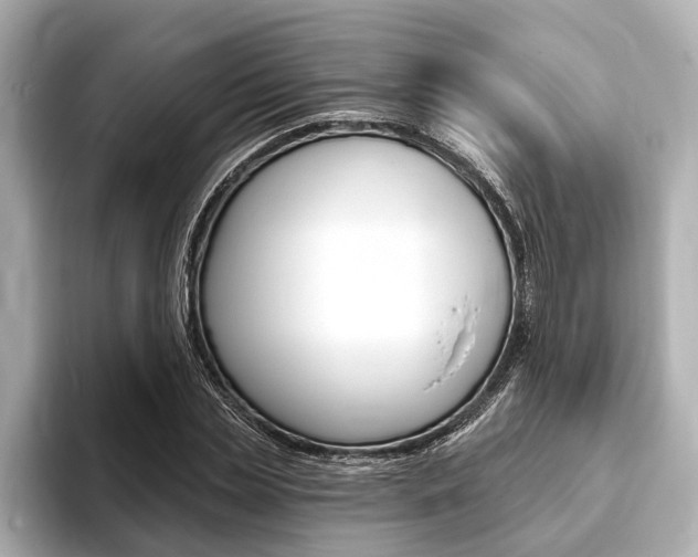 X0000093760829200710160834
