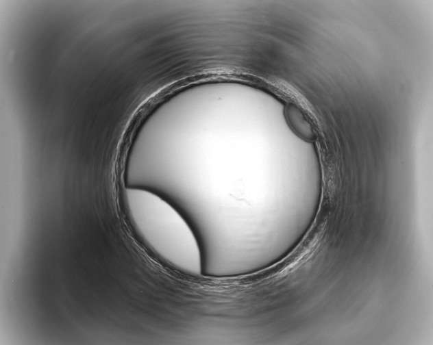X0000093760831200710160834