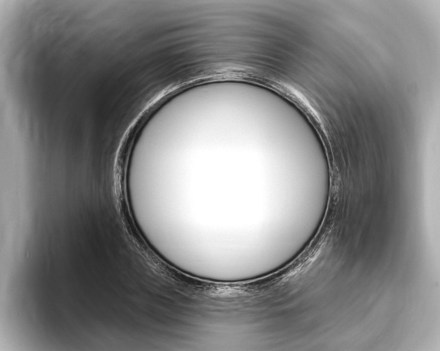 X0000093760835200710160834