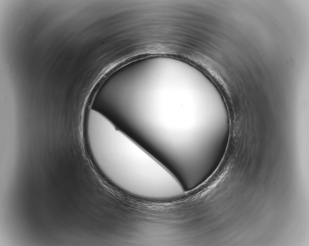 X0000093760837200710160834