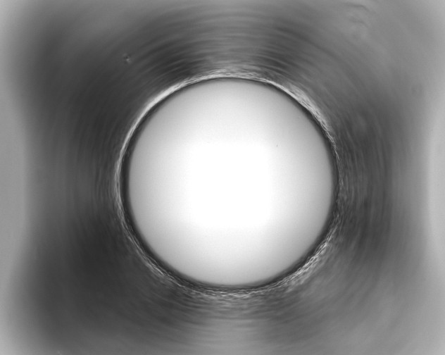 X0000093760838200710160834
