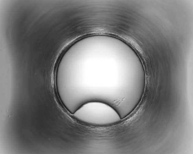 X0000093760839200710160834
