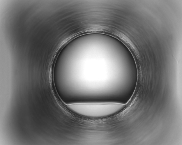 X0000093760842200710160834