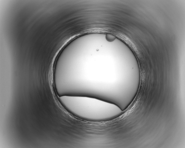 X0000093760844200710160834