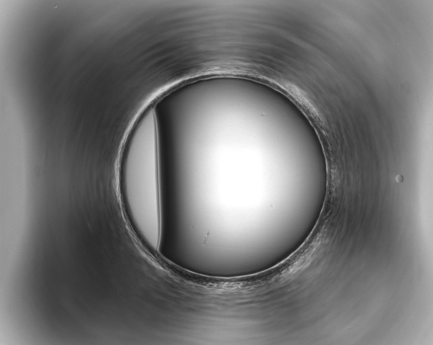 X0000093760846200710160834