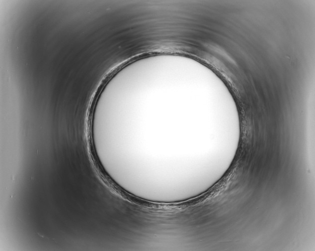 X0000093760848200710160834