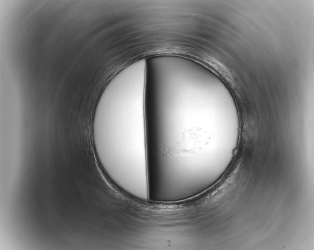 X0000093760849200710160834