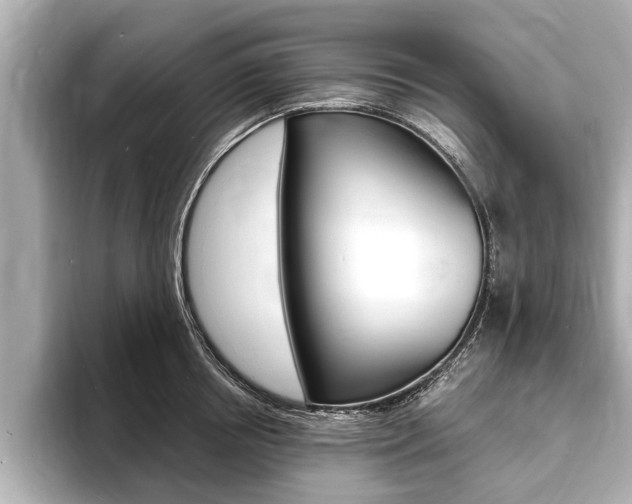 X0000093760850200710160834