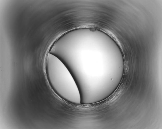 X0000093760851200710160834