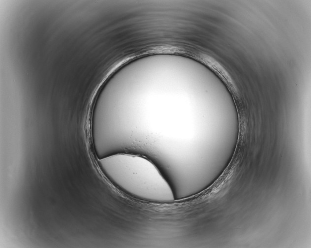 X0000093760852200710160834