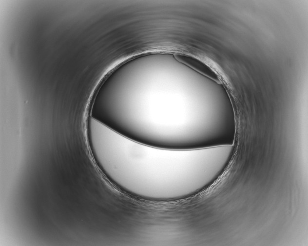 X0000093760854200710160834