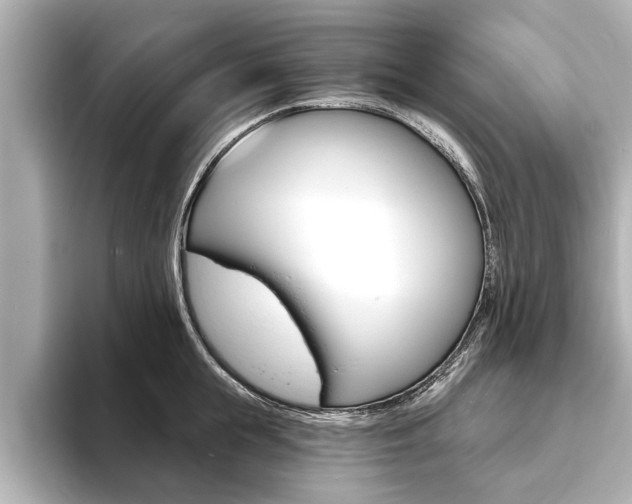X0000093760855200710160834