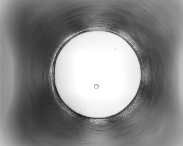 X0000093760856200710160834
