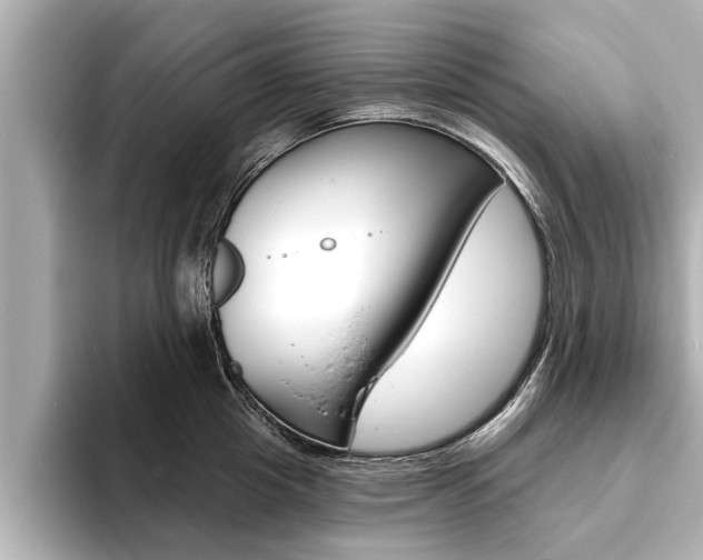X0000093760857200710160834