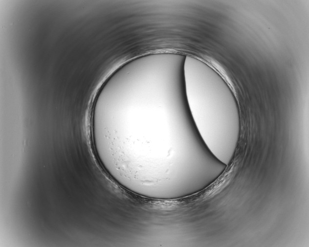 X0000093760859200710160834