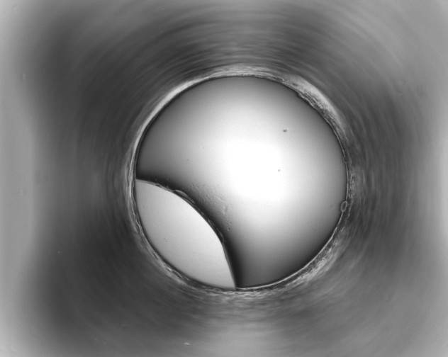 X0000093760860200710160834