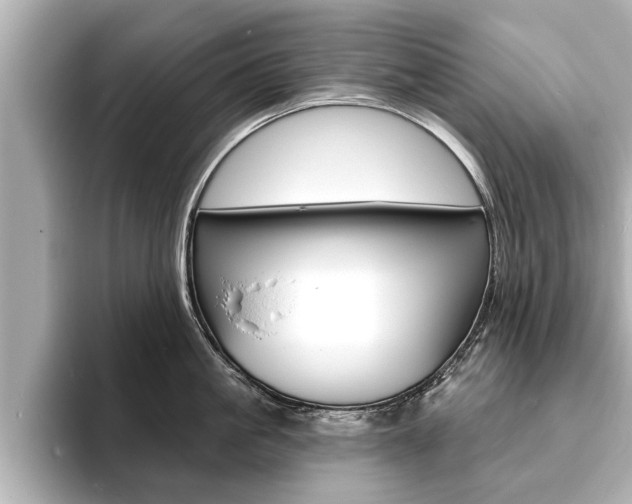X0000093760861200710160834