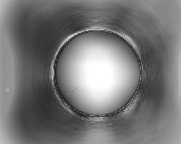 X0000093760862200710160834