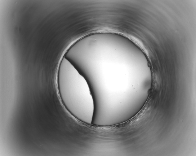 X0000093760863200710160834