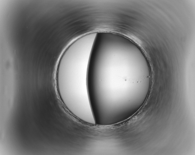 X0000093760864200710160834