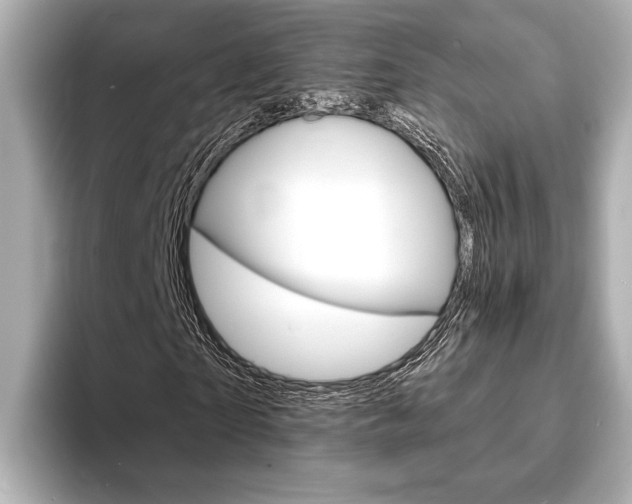 X0000093760865200710160834