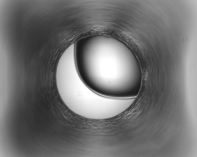 X0000093760868200710160834