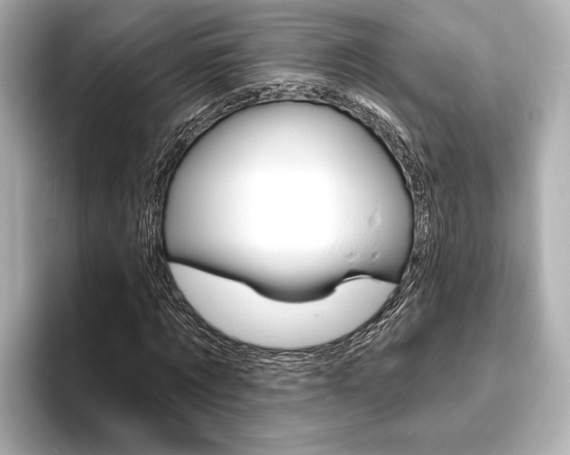 X0000093760869200710160834