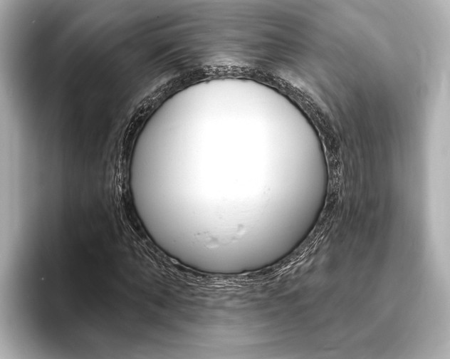 X0000093760870200710160834