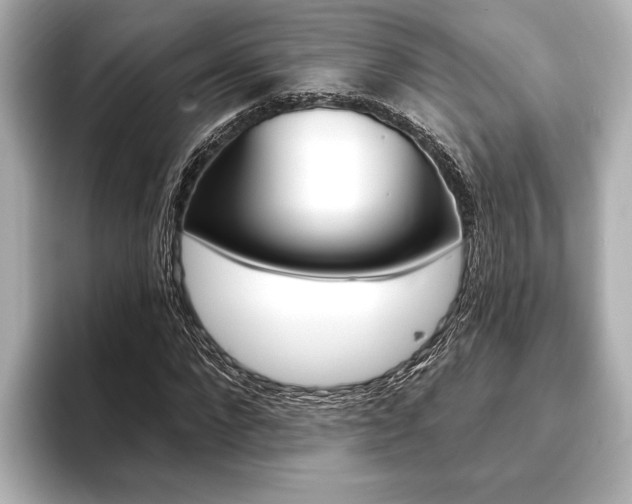 X0000093760872200710160834