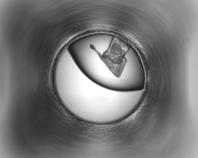 X0000093760877200710160833