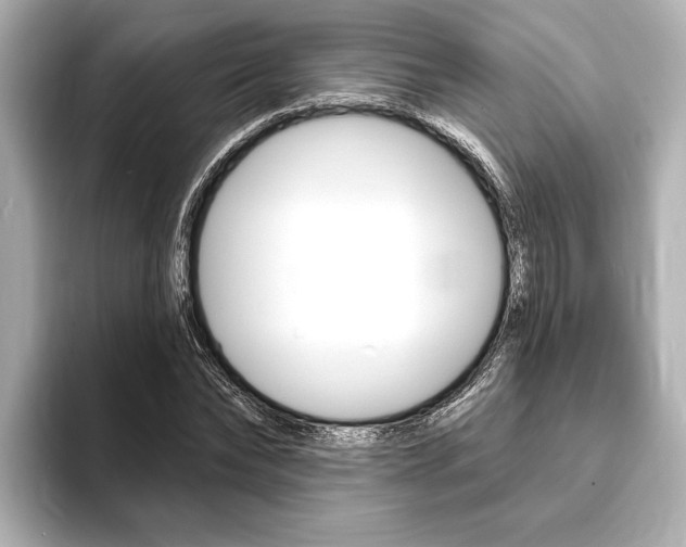 X0000093760878200710160833
