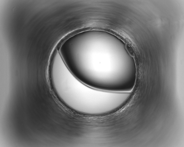X0000093760880200710160833
