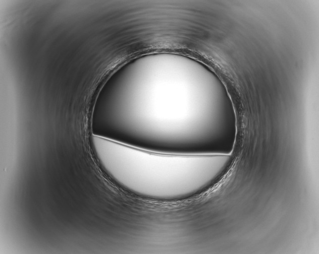 X0000093760881200710160833