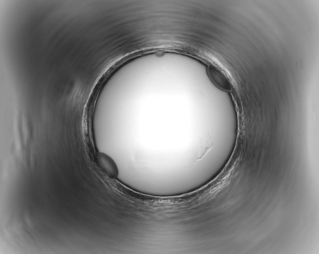 X0000093760883200710160833
