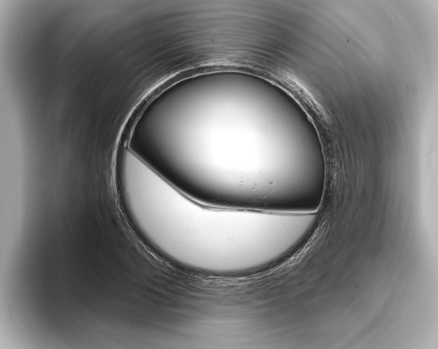 X0000093760884200710160833